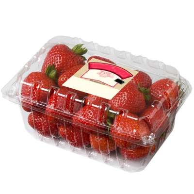 Custom pet clamshell plastic food container packaging boxes for packing strawberry / blueberries/ fruit salad